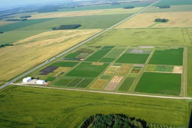 aerial view of Magnusson Research Farm