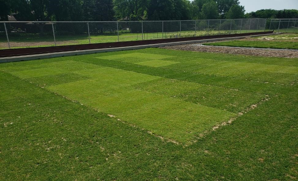Turfgrass research plots with a chain link fence in the background