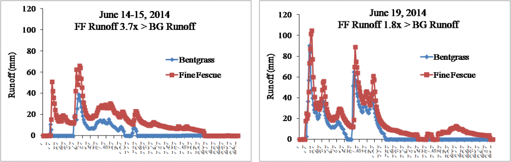 Comparing runoff from bentgrass and fine fescue turf