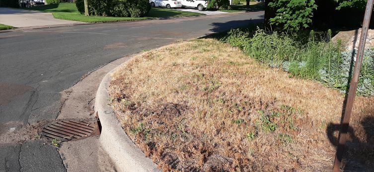 a corner bouvelard with dead grass