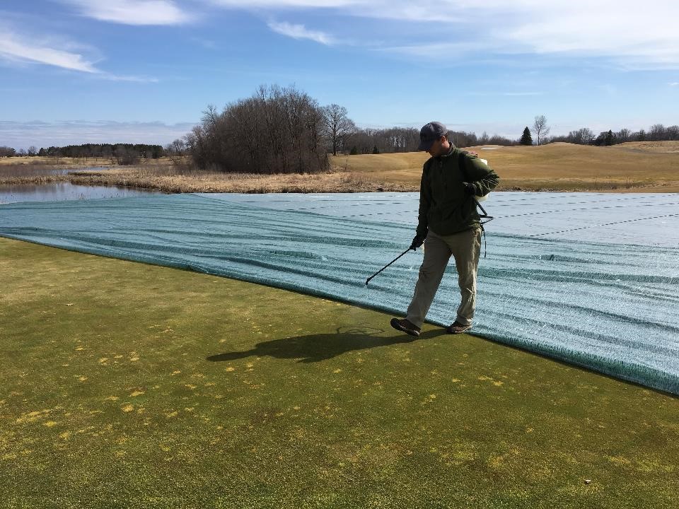 Applying paclobutrozol in early spring to golf course
